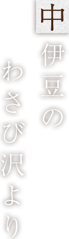 中伊豆のわさび沢より